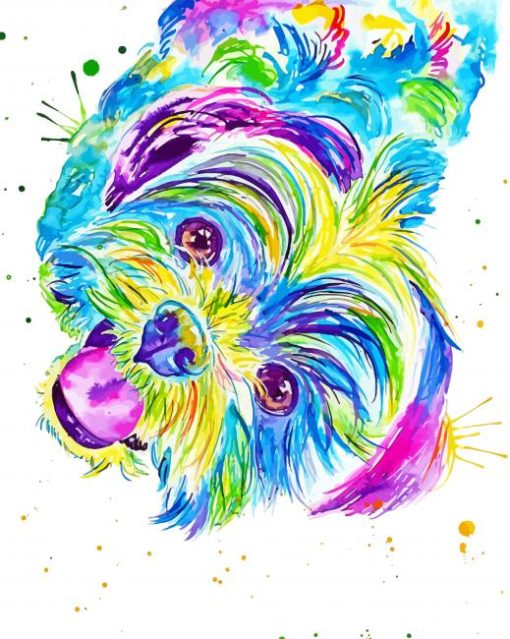 Colorful Shih Tzu paint by number