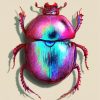 Dung Beetle Insect paint by number
