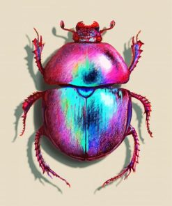 Dung Beetle Insect paint by number