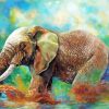 Elephant Bathing Paint by number