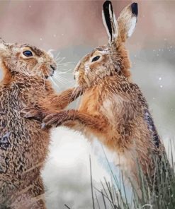 Fighting Hares Paint by number