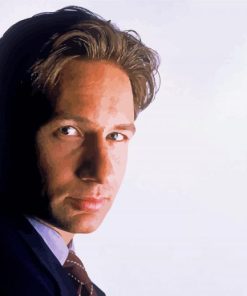 Fox Mulder paint by number