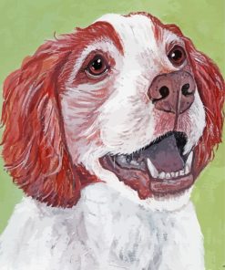Irish Red White Setter Puppy paint by number