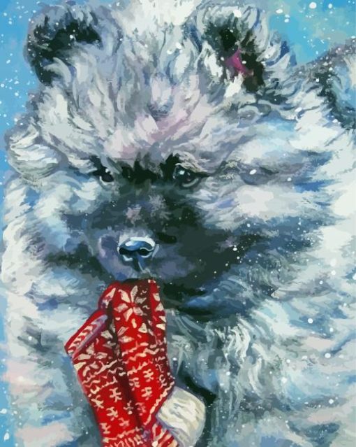 Keeshond Dog Animal paint by number