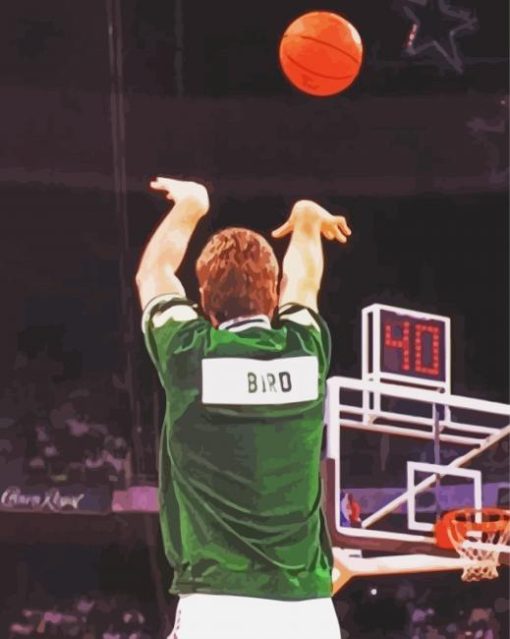 Larry Bird Back paint by number