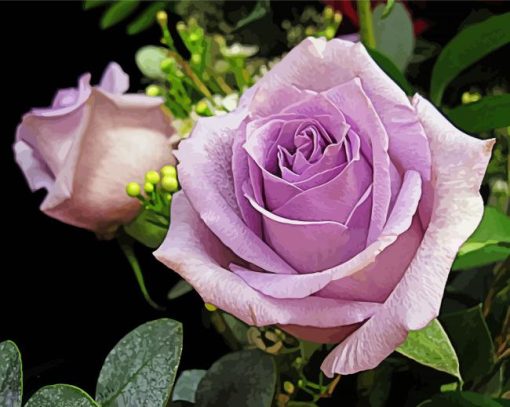 Lilac Rose paint by number