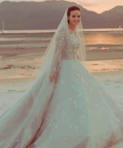 Magical Bride paint by number