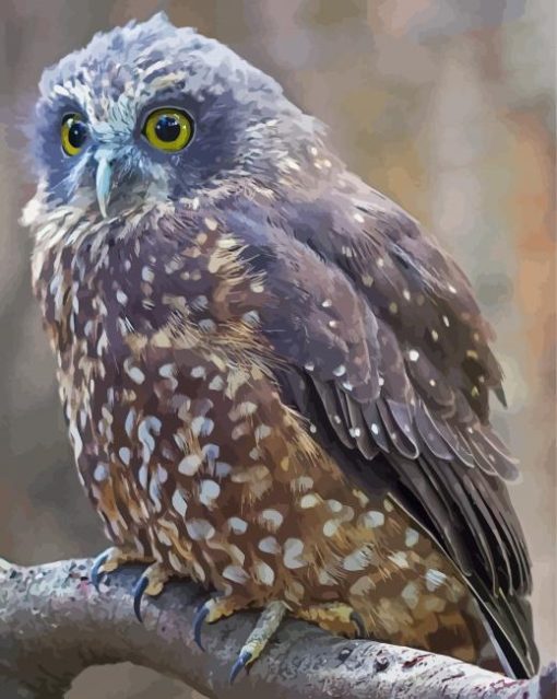 Morepork Bird paint by number