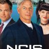 Ncis paint by number