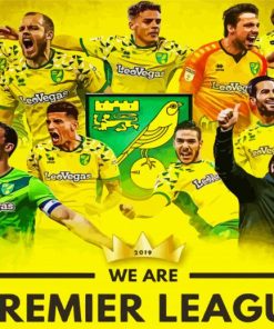 Norwich City Football Club paint by number