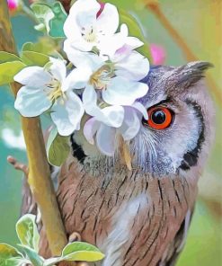 Owl With Flowers paint by number