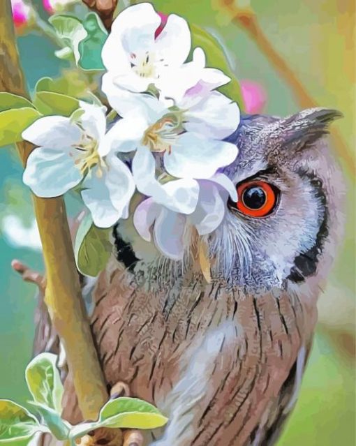 Owl With Flowers paint by number