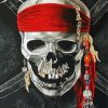 Pirate Skull Art paint by number
