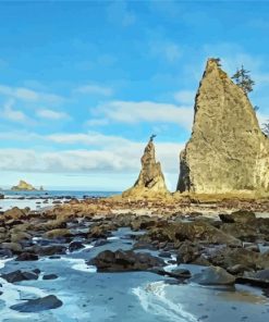 Rialto Beach Washington State paint by number