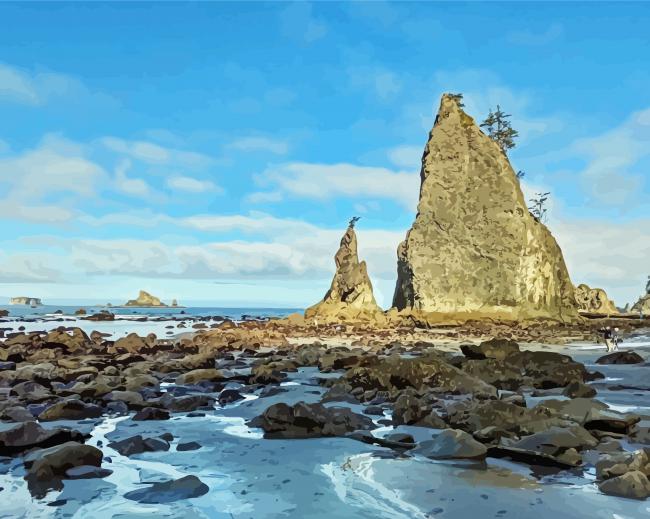 Rialto Beach Washington State paint by number