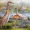 Sandhill Cranes Family Paint by number