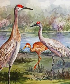 Sandhill Cranes Family Paint by number