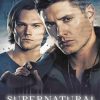 Supernatural Poster paint by number