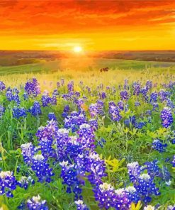 Texas Bluebonnets Sunset Landscape paint by number