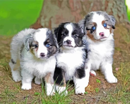 Toy Aussie Puppies paint by number