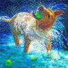 Wet Dog Shaking With Ball In His Mouth paint by number