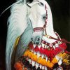 White Arabian Horse paint by number