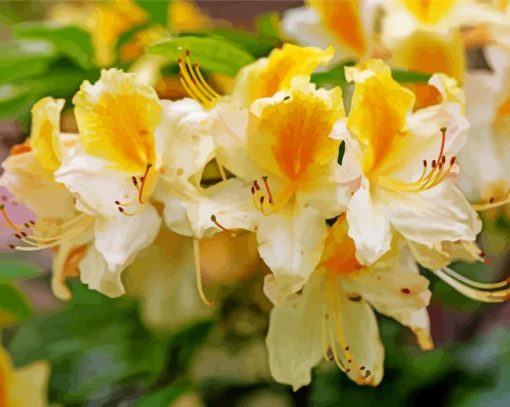White Yellow Azalea Plants paint by number