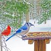 Winter Blue Jay And Cardinal paint by number