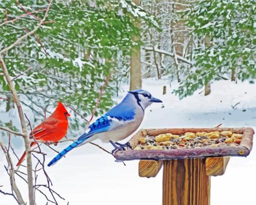 Winter Blue Jay And Cardinal paint by number