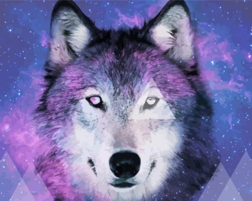 Wolf Space paint by number