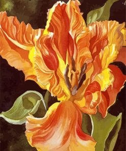 Yellow Orange Parrot Tulip Flower paint by number