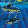 Yellowfin Tuna Underwater Art paint by number
