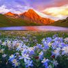 Aesthetic Flowers And Mountains paint by number