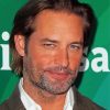 Aesthetic Josh Holloway paint by number