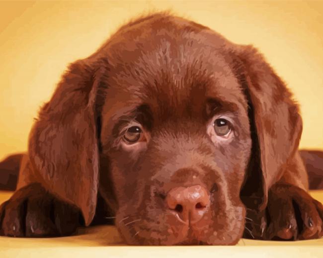 Aesthetic Brown English Labrador paint by number