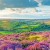 Beautiful Yorkshire Moorland paint by number