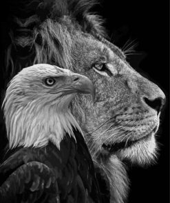 Black And White Lion And Eagle paint by number