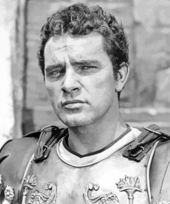 Black And White Richard Burton Paint by number