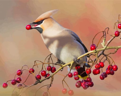Cedar Waxwing Eating paint by number