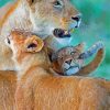 Cute Lioness And Cubs Animal paint by number