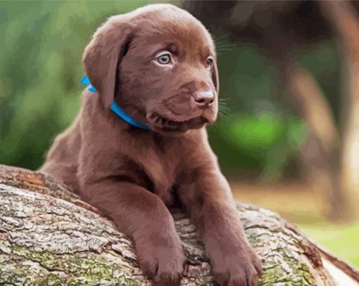Puppy Chocolate Labrador paint by number