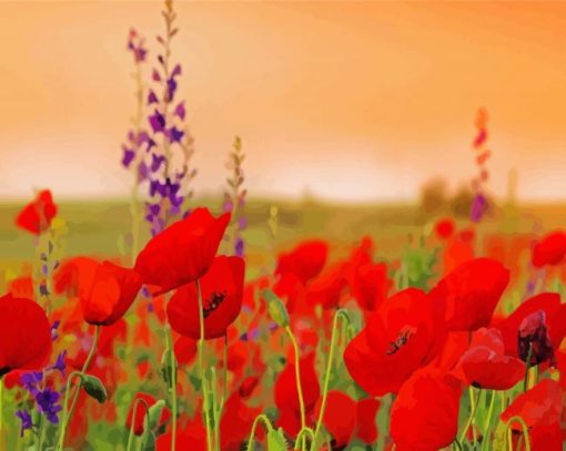 Red Summer Field Of Flowers Paint by number
