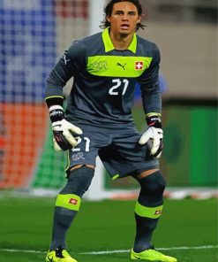 The Goalkeeper Yann Sommer paint by number