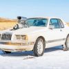 White 1986 Ford Tbird Car paint by number