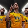 Wolves Fc Players paint by number