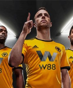 Wolves Fc Players paint by number