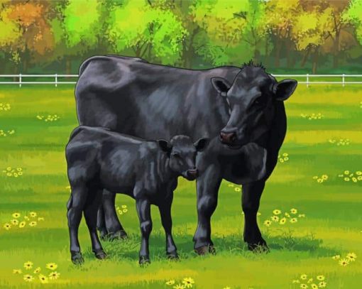 Aberdeen Angus Cows Paint by number
