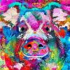 Abstract Colorful Pig paint by number
