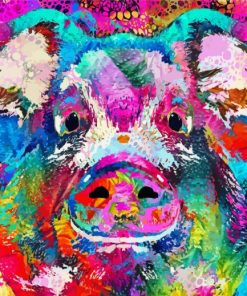 Abstract Colorful Pig paint by number