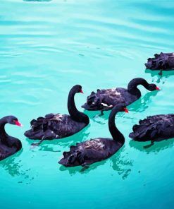 Aesthetic Black Swans Paint by number